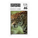 jaguar postage by bookhead89 jaguar postage