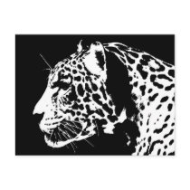 Jaguar Postcard