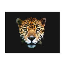 Jaguar Post Card
