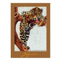 Jaguar posters