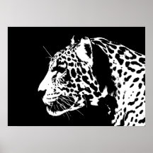 Jaguar Poster Print - Jaguar Posters