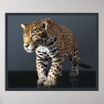 Jaguar Power  Print