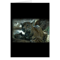 JAGUAR - PROTECTIVE MOTHER AND KITTEN CARD