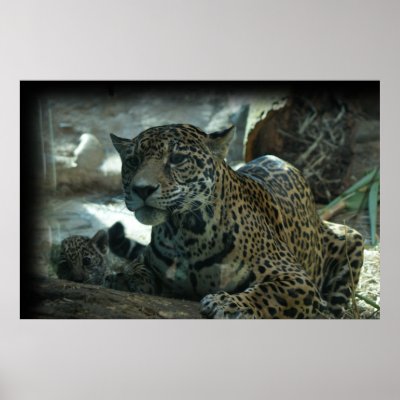 Jaguar Mother