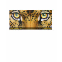 Jaguar t-shirts