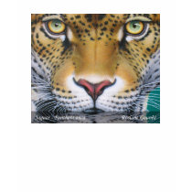 Jaguar t-shirts