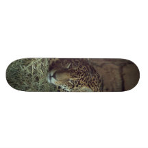 jaguar skate board