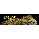 Jaguar skateboard