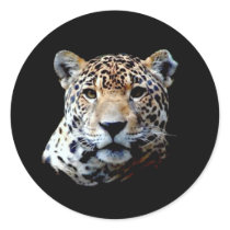 Jaguar Sticker
