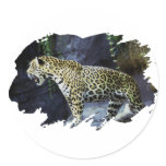 Jaguar Stickers