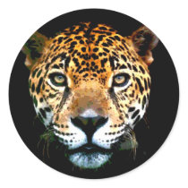 Jaguar Sticker