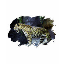 Jaguar t-shirts