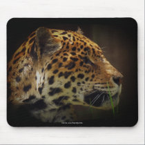 Jaguar Wild Cat Animal-Lover Mousepad mousepads