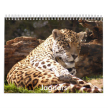 Jaguars Calendar, Jaguars