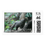 Jaguarundi (Puma yagouaroundi) 1 Stamp
