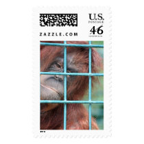 Jail postage by REDINARD Jail postage