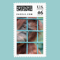 Jail postage