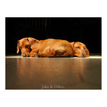 Jake & Dillon posters