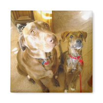 Jake & Emma Magnet