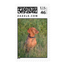 Jake Hunting postage by rgdavisatc Jake Hunting postage