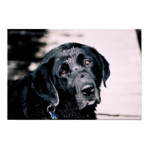 Jake Photo posters