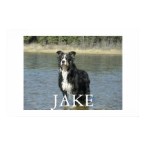 Jake posters