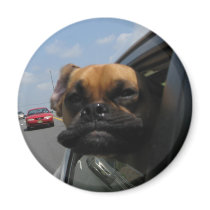 Jake the Puggle magnets
