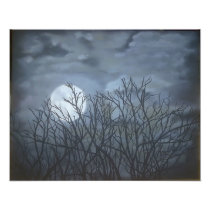 Jake's Moon Photo