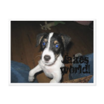 Jakes world! postcards by JamienJazz Jakes world! postcards