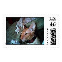jakesharppaint postage