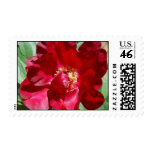 Jalousie Stamp