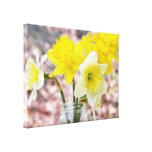 Jam Jar Vase Full Of Daffodils Canvas Prints