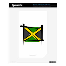 Jamaica Brush Flag Skin For The NOOK Color