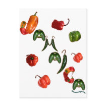Jamaica Chili Peppers postcards by chili_state Jamaica Chili Peppers postcards