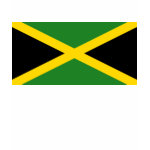 Jamaica Flag + Map Spaghetti Top