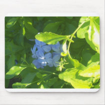 Jamaica Flower mousepads by Leanne1184 Jamaica Flower mousepads