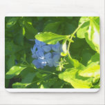 Jamaica Flower mousepads
