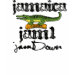 Ladies Destroyed T-Shirt