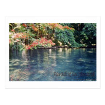 Jamaica Paradise Postcard