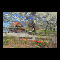 Jamaica Pond in Spring Boston Massachusetts posters