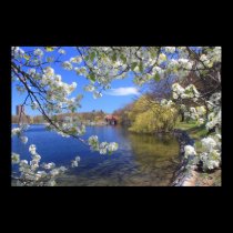 Jamaica Pond Trail in Spring Boston posters