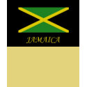 JAMAICA T-TOP t-shirts