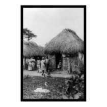 Jamaica Tobacco Plantation 1896 posters