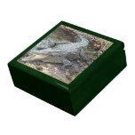 Jamaican Salt Water Crocodile Jewelry Box