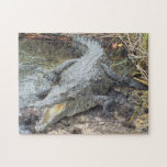 Jamaican Salt Water Crocodile Puzzle