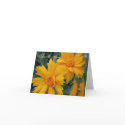 James 1:17 Thank You Card by LeSnowCat James 1:17 Thank You Card