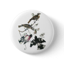 James Aubudon Rose-breasted Grosbeak Pin