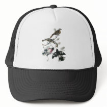 James Aubudon Rose-breasted Grosbeak Mesh Hat