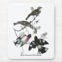 James Aubudon Rose-breasted Grosbeak Mousepads
