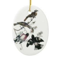 James Aubudon Rose-breasted Grosbeak Christmas Ornaments
